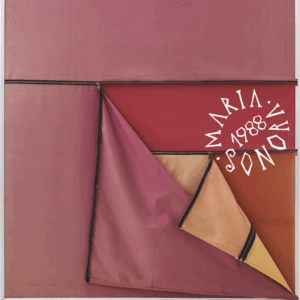 MARIA SONORA - 1988 / HR-69 / 12" VINYL / 2025